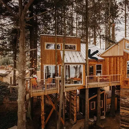 Treehouse-Small Eagles Perch Over The Water